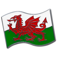 Welsh Flag Badge by School Badges UK