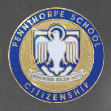 The finished enamel school badge