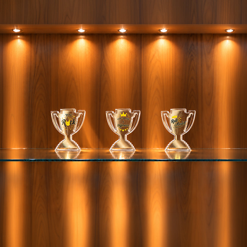 Acrylic Trophies