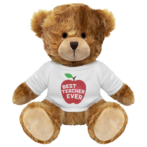 Charles 20cm Best Teacher Ever by School Badges UK