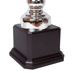 Crowned Silver Cup Trophy Base Zoomed by School Badges UK