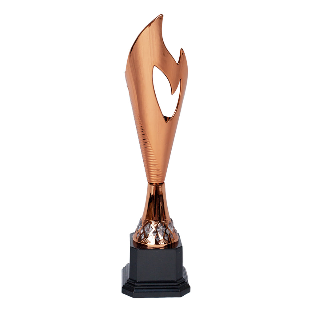 Elegant Flame Bronze Trophy Rear by School Badges UK