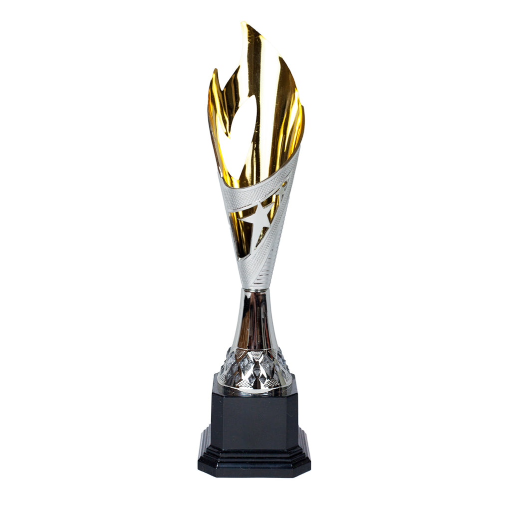 Elegant Flame Silver/Gold Trophy by School Badges UK