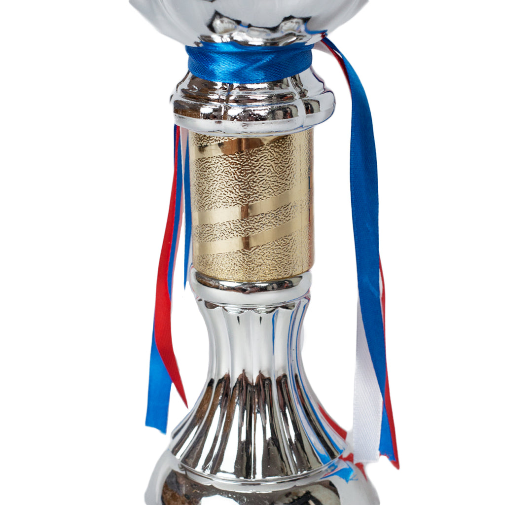 Heritage Victory Cup Silver Trophy Zoomed by School Badges UK