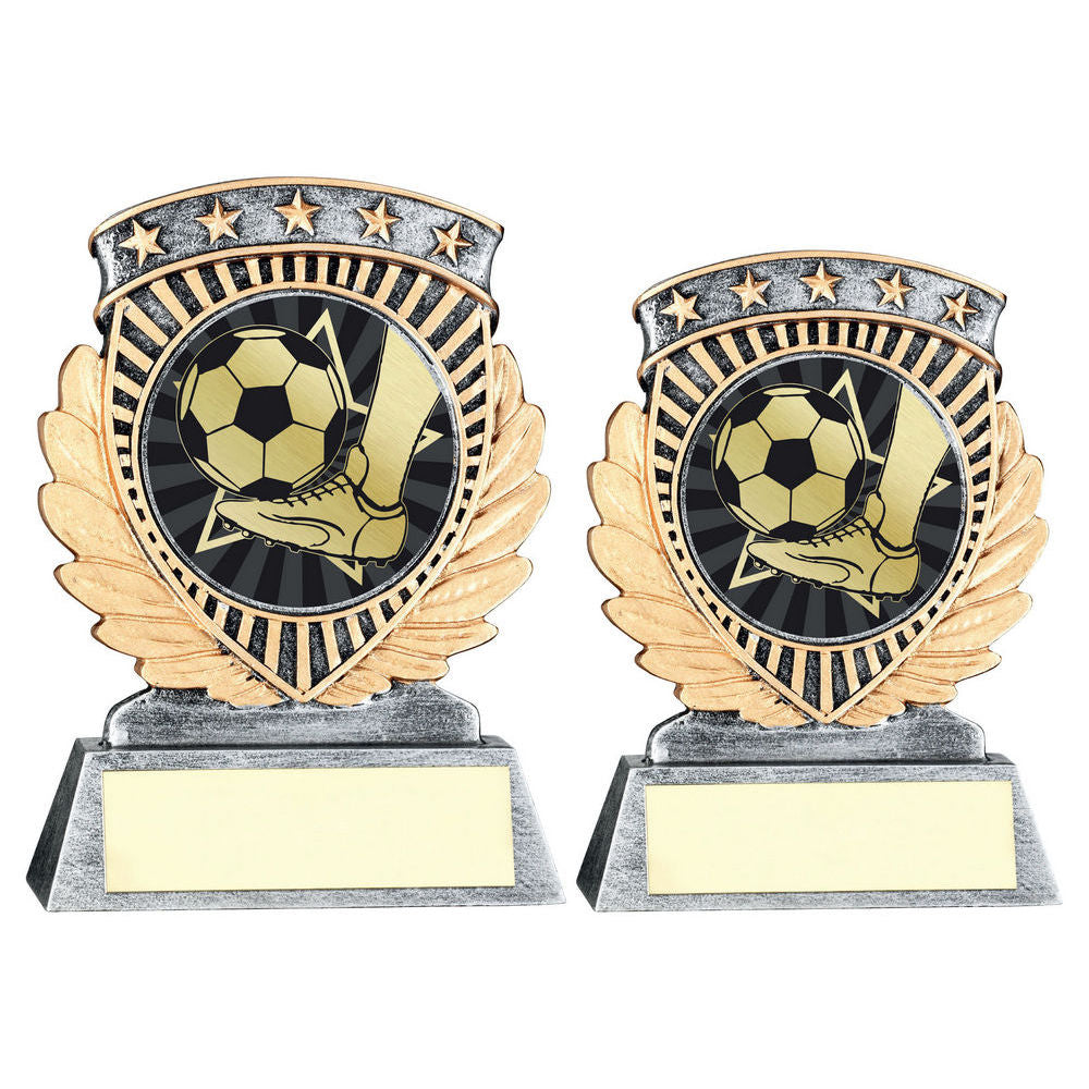Pewter/Gold 5 Star Holder with Vinyl Football Insert & Plate by School Badges UK
