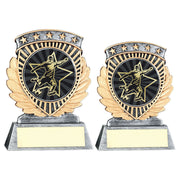 Pewter/Gold 5 Star Holder with Vinyl Male Football Insert & Plate by School Badges UK