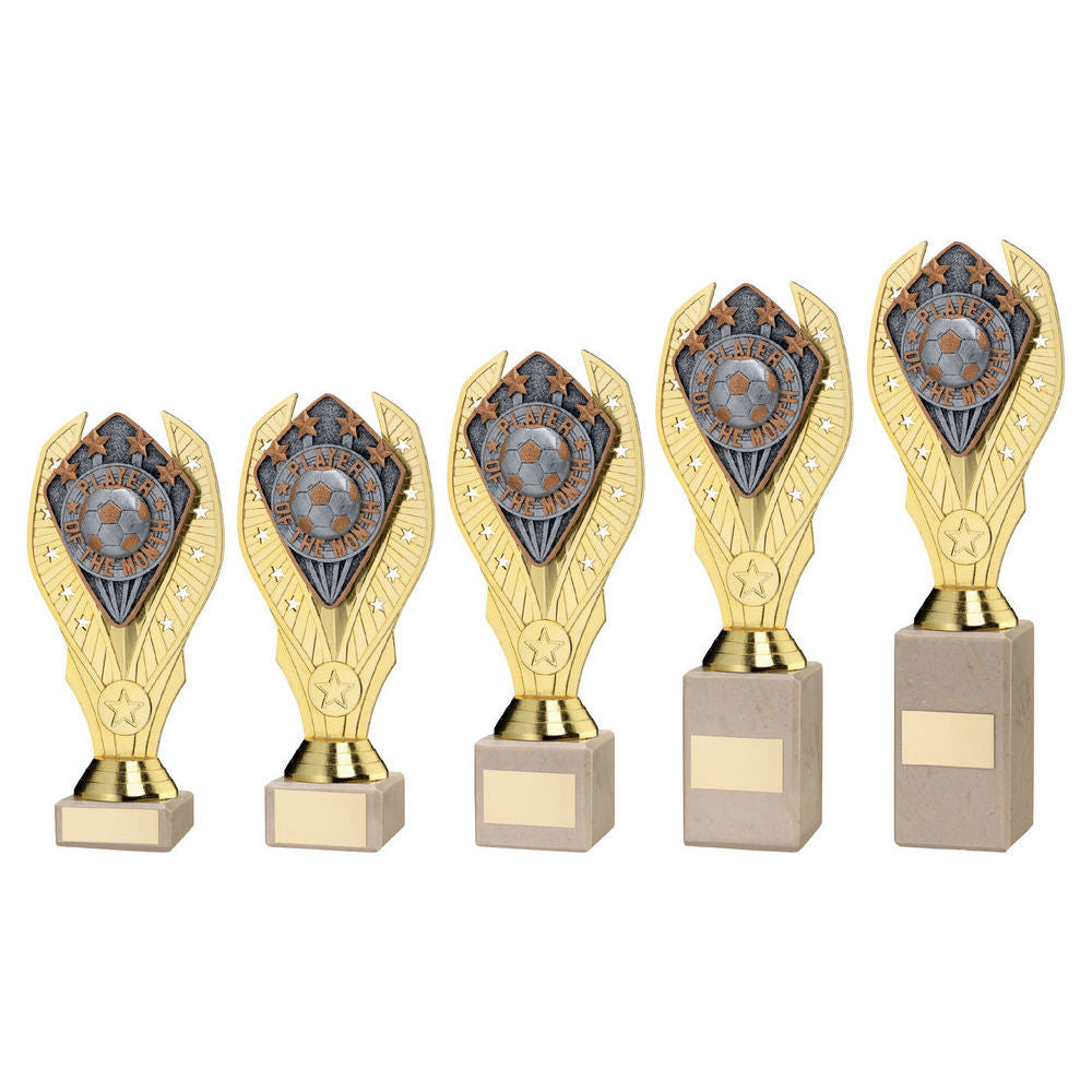 Gold Holder + Player of the Month Disc & Cream Marble Trophy by School Badges UK