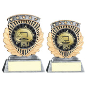 Pewter/Gold 5 Star Holder with Vinyl Basketball Insert & Plate by School Badges UK