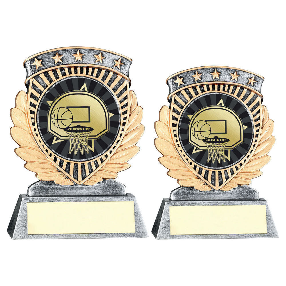 Pewter/Gold 5 Star Holder with Vinyl Basketball Insert & Plate by School Badges UK