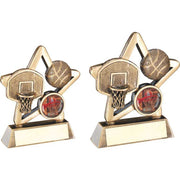 Bronze/Gold Basketball Mini Star with Plate by School Badges UK