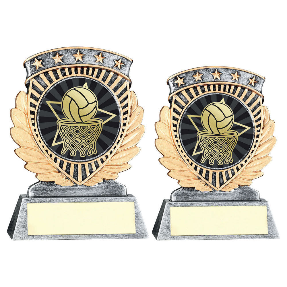Pewter/Gold 5 Star Holder with Vinyl Netball Insert & Plate by School Badges UK