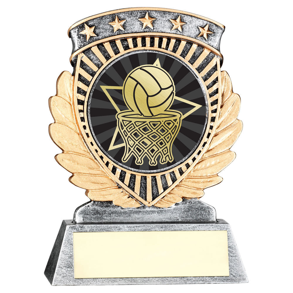 Pewter/Gold 5 Star Holder with Vinyl Netball Insert & Plate - 95mm by School Badges UK