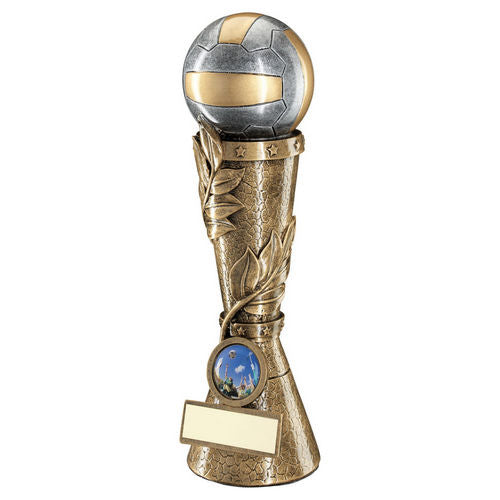 Bronze/Pewter/Gold Netball Leaf Column with Plate - 178mm by School Badges UK