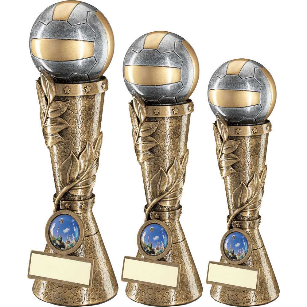 Bronze/Pewter/Gold Netball Leaf Column with Plate by School Badges UK