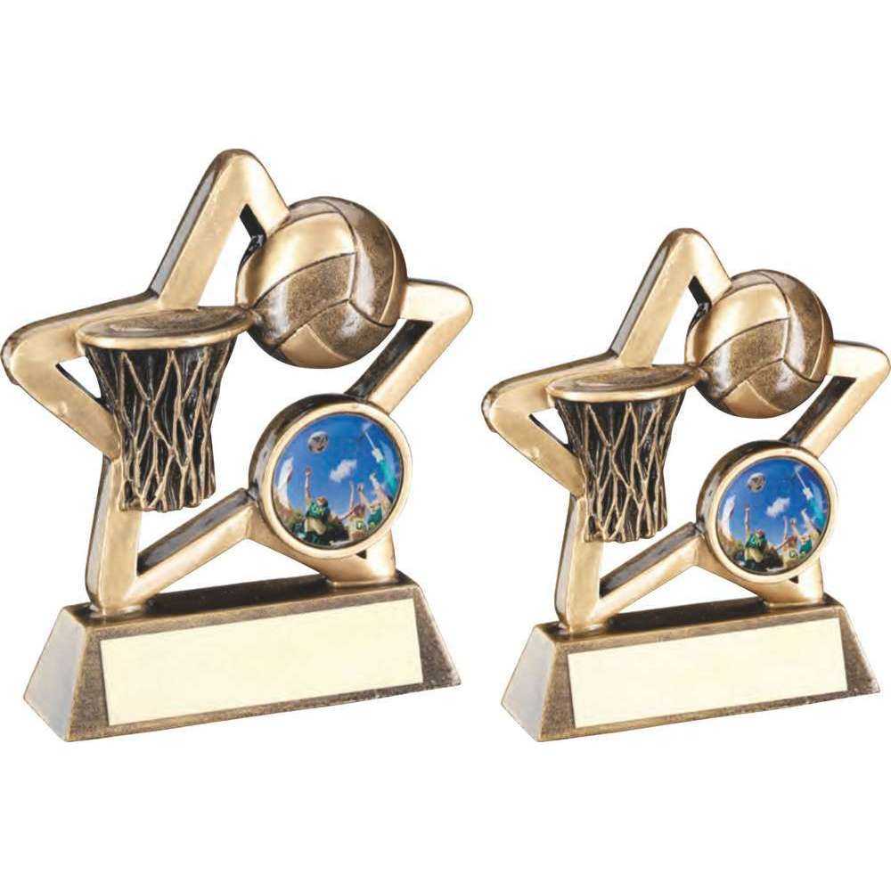 Bronze/Gold Netball Mini Star with Plate by School Badges UK