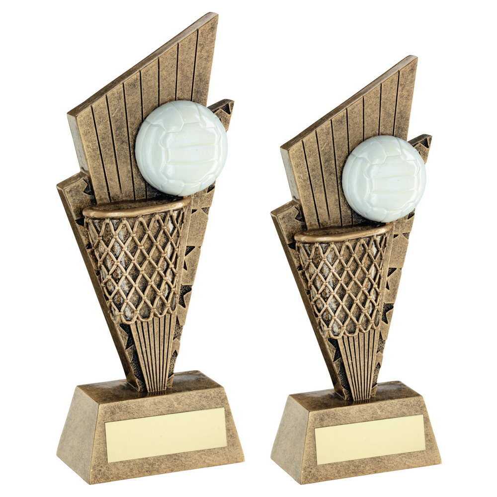 Bronze/Gold/White Netball and Net on Pointed Backdrop with Plate by School Badges UK