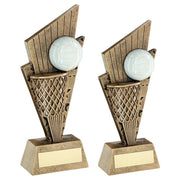 Bronze/Gold/White Netball and Net on Pointed Backdrop with Plate by School Badges UK