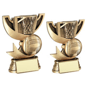 Bronze/Gold Cup Range for Netball with Plate by School Badges UK