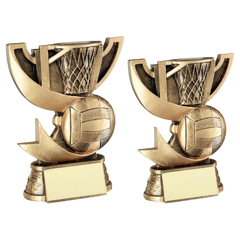 Bronze/Gold Cup Range for Netball with Plate by School Badges UK