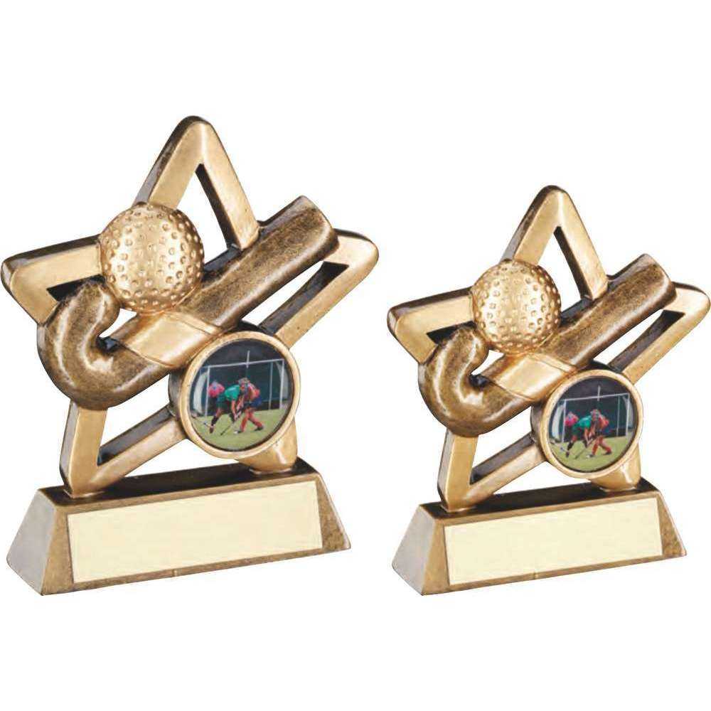 Bronze/Gold Hockey Mini Star with Plate by School Badges UK