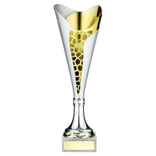 Silver/Gold Plastic Stippled Trophy Cup with Plate - 318mm by School Badges UK