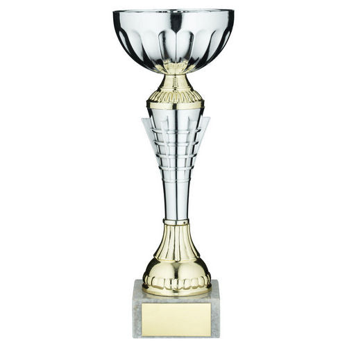 Silver/Gold Spiro Trophy Cup with Plate - 191mm by School Badges UK