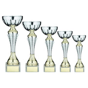 Silver/Gold Spiro Trophy Cup with Plate by School Badges UK