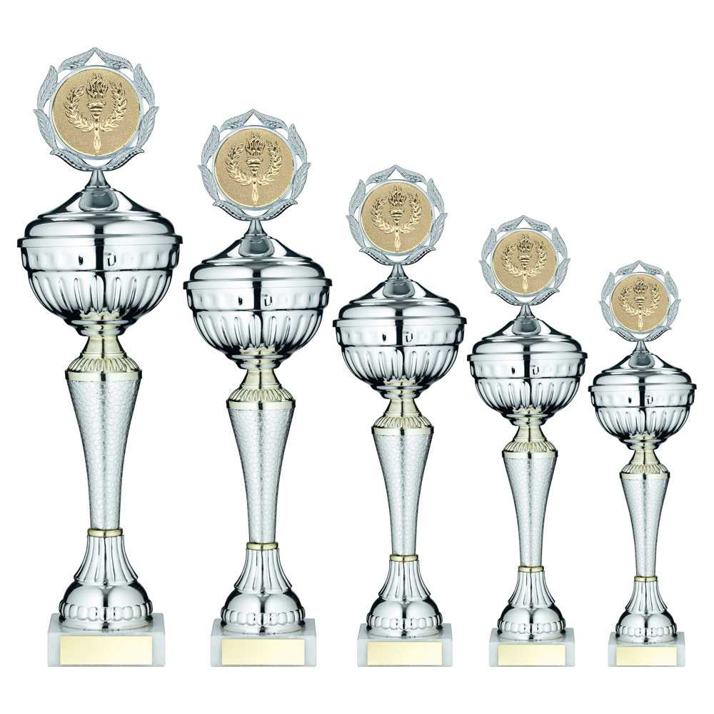 Silver/Gold Snakeskin Trophy Cup with Lid with Plate by School Badges UK