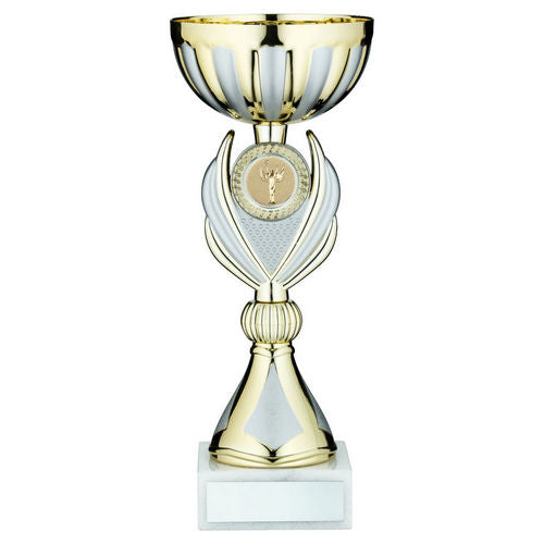 Gold/Matt Silver Trophy Cup with Plate - Takes 2in Centre - 286mm by School Badges UK