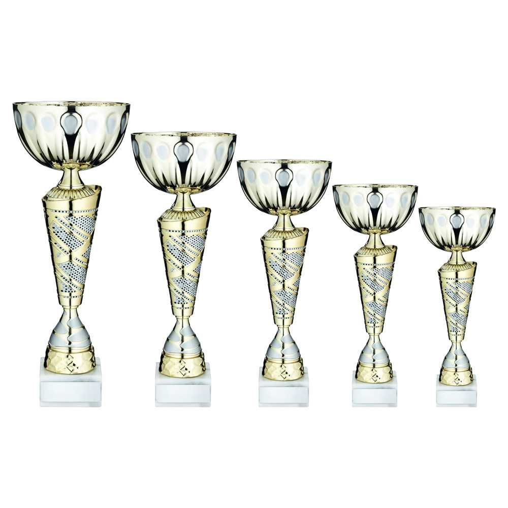 Gold/Matt Silver Trophy Cup with Plate by School Badges UK