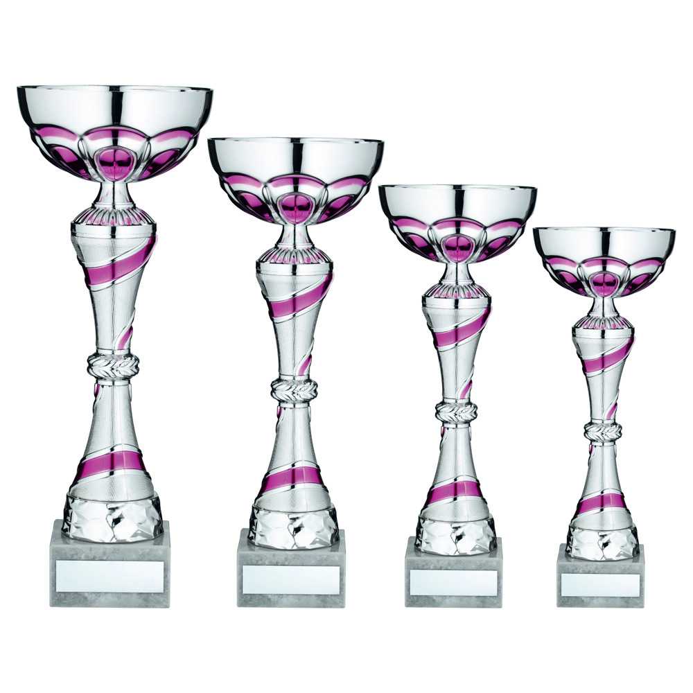 Silver/Pink Trophy Cup with Plate by School Badges UK
