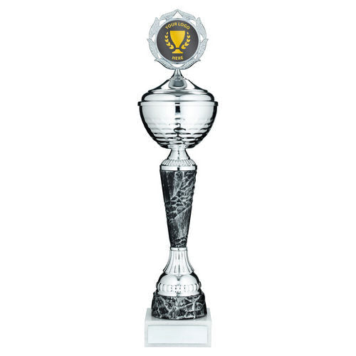 Silver/Pewter Trophy Cup with Lid with Plate - 362mm by School Badges UK