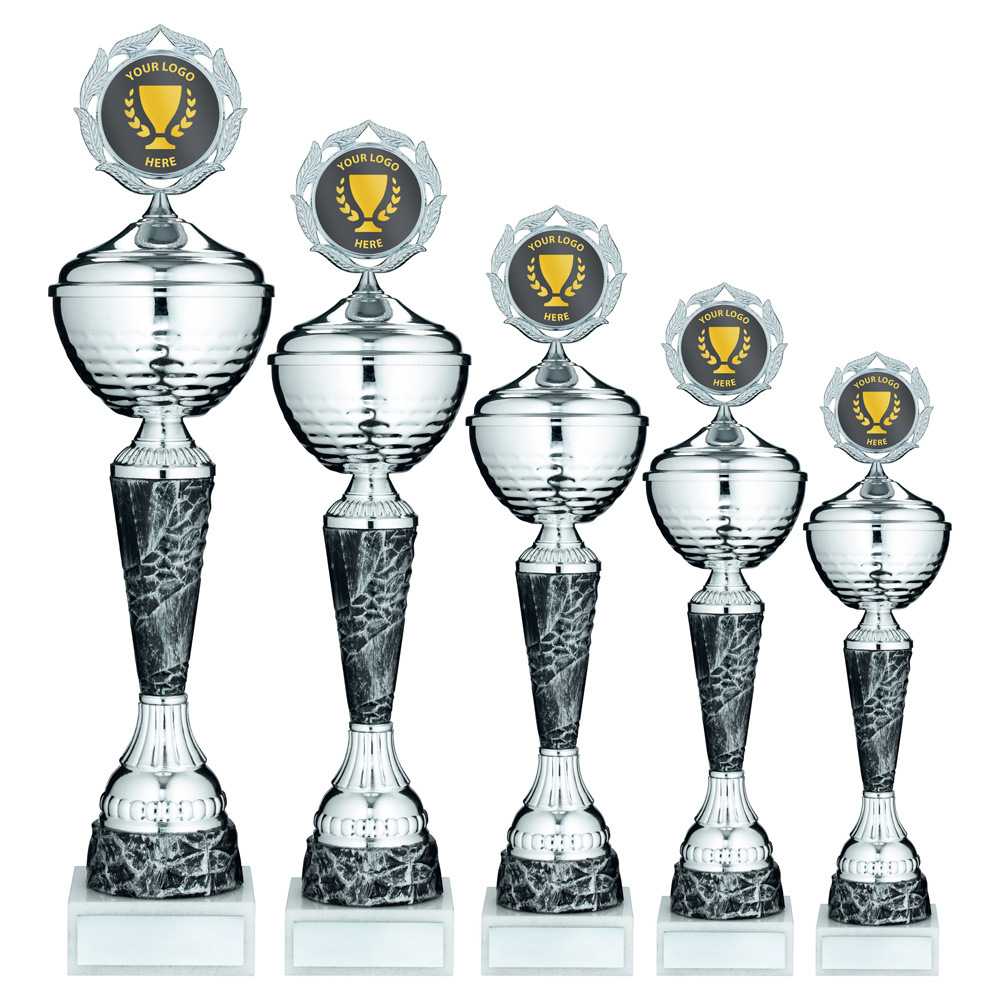 Silver/Pewter Trophy Cup with Lid with Plate by School Badges UK