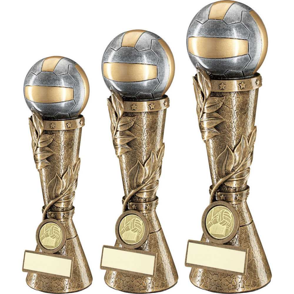 Bronze/Pewter/Gold Gaelic Football Leaf Column with Plate by School Badges UK