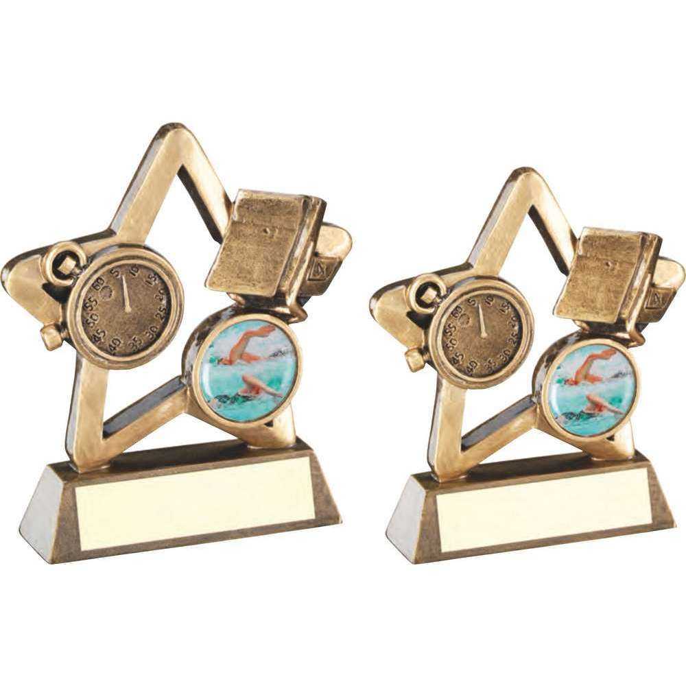 Bronze/Gold Swimming Mini Star with Plate by School Badges UK