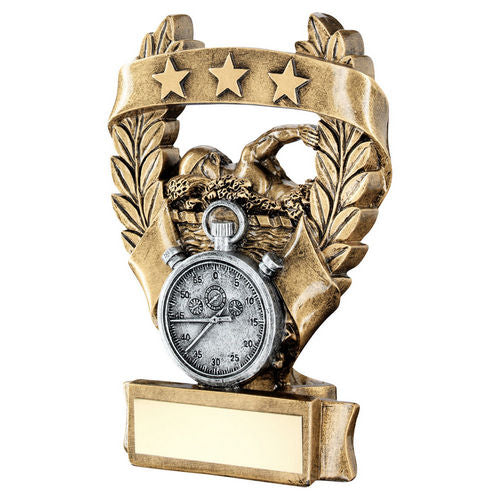 Bronze/Pewter/Gold Swimming 3 Star Wreath Award with Plate - 127mm by School Badges UK