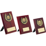 Rosewood Plaque and Gold Trim Assembled Trophy by School Badges UK