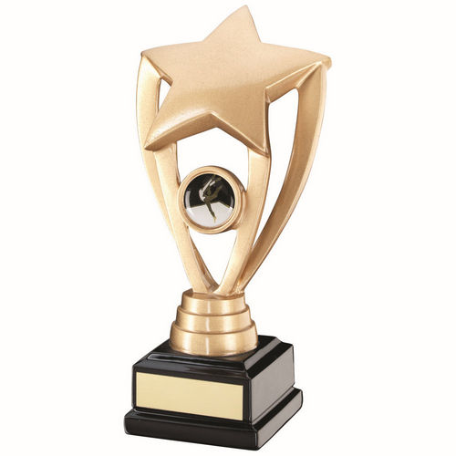 Gold/Black Shooting Star with Female Gym Insert and Plate - 171mm by School Badges UK