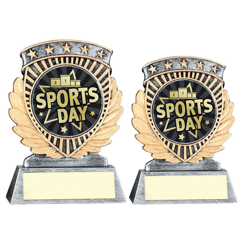 Pewter/Gold 5 Star Holder with Vinyl Sports Day Insert & Plate by School Badges UK