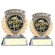 Pewter/Gold 5 Star Holder with Vinyl Sports Day Insert & Plate by School Badges UK