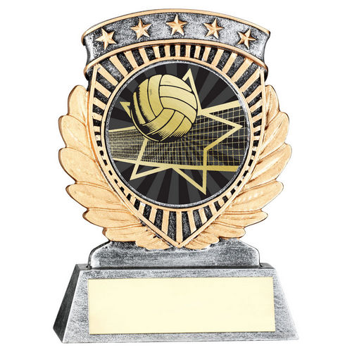 Pewter/Gold 5 Star Holder with Vinyl Volleyball Insert & Plate - 95mm by School Badges UK