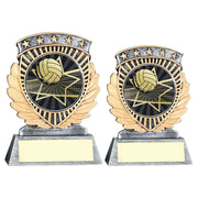 Pewter/Gold 5 Star Holder with Vinyl Volleyball Insert & Plate by School Badges UK