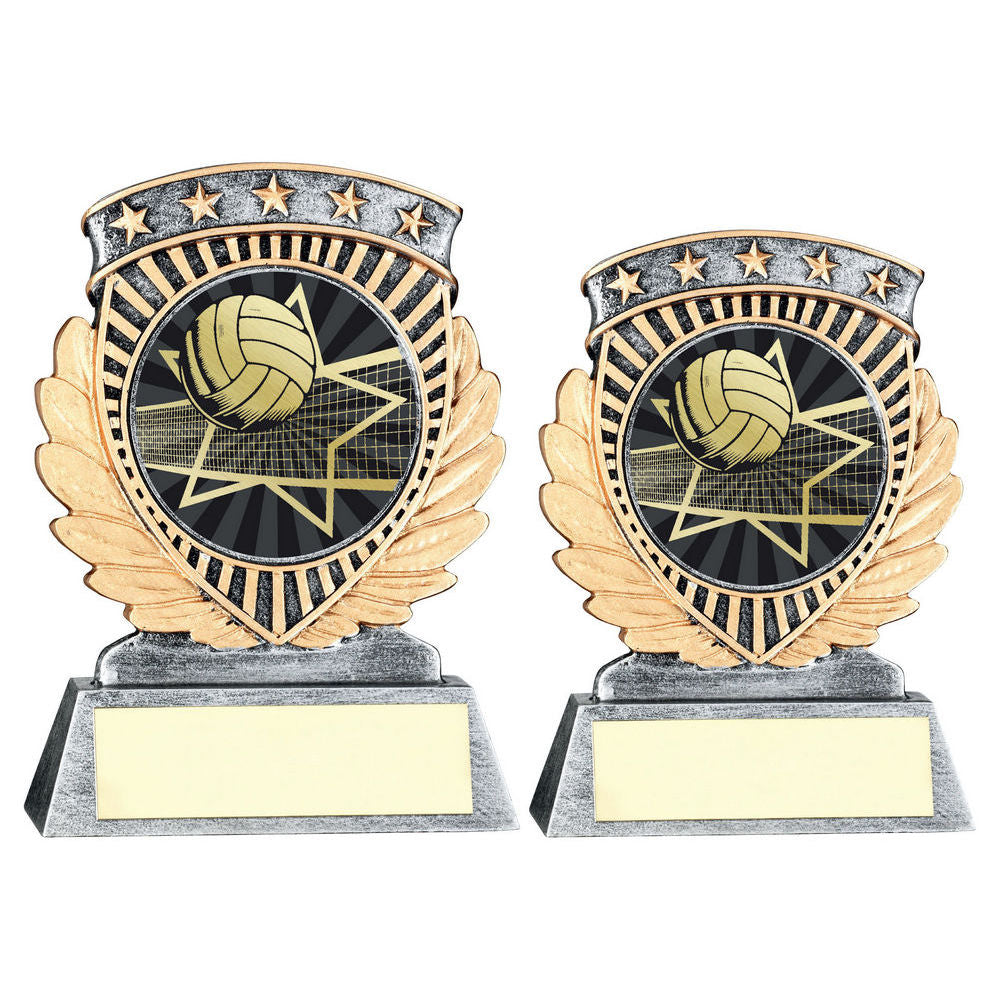 Pewter/Gold 5 Star Holder with Vinyl Volleyball Insert & Plate by School Badges UK