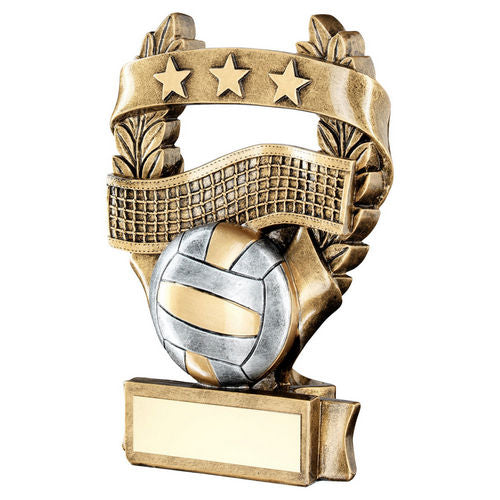 Bronze/Pewter/Gold Volleyball 3 Star Wreath Award with Plate - 127mm by School Badges UK