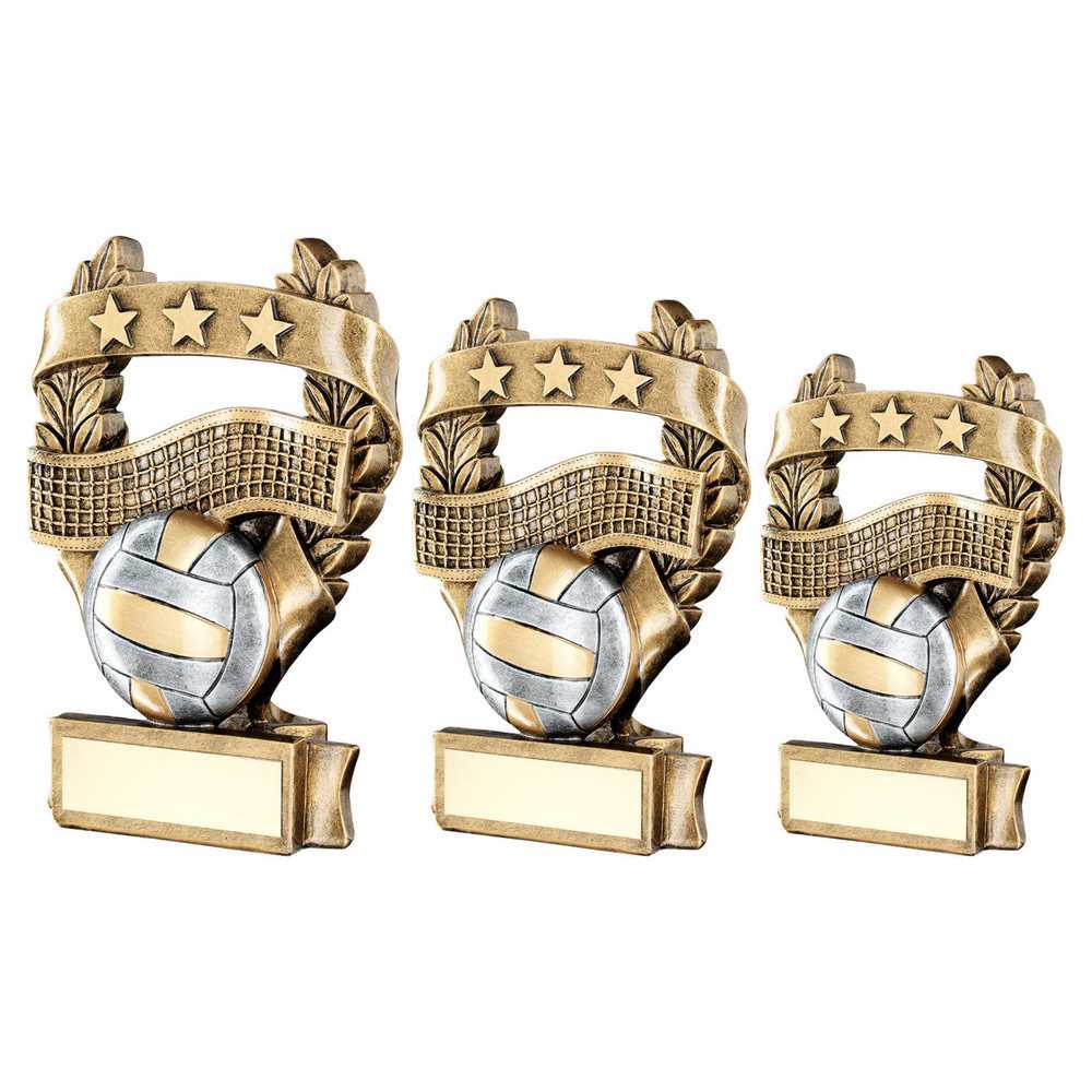 Bronze/Pewter/Gold Volleyball 3 Star Wreath Award with Plate by School Badges UK