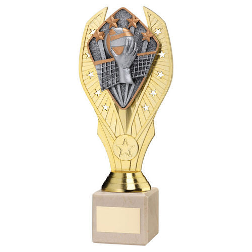 Gold Plastic Holder + Volleyball Disc on Cream Marble Trophy - 197mm by School Badges UK