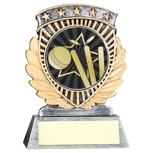 Pewter/Gold 5 Star Holder with Vinyl Cricket Insert & Plate - 95mm by School Badges UK