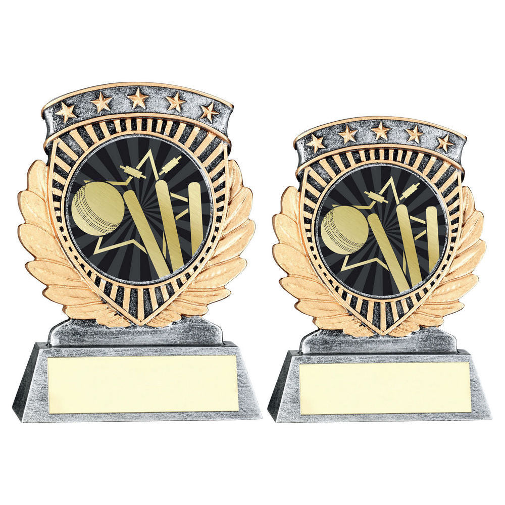 Pewter/Gold 5 Star Holder with Vinyl Cricket Insert & Plate by School Badges UK
