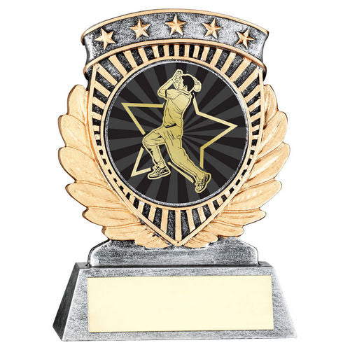 Pewter/Gold 5 Star Holder with Vinyl Cricket Bowler Insert & Plate - 95mm by School Badges UK