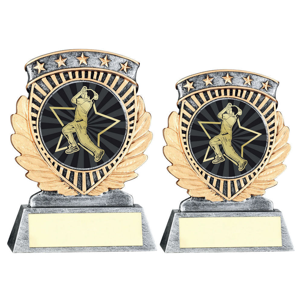 Pewter/Gold 5 Star Holder with Vinyl Cricket Bowler Insert & Plate by School Badges UK